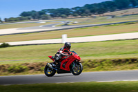 07th-to-9th-January-2019;Phillip-Island;event-digital-images;motorbikes;no-limits;peter-wileman-photography;trackday;trackday-digital-images