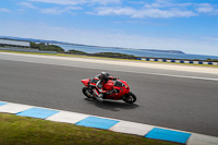 07th-to-9th-January-2019;Phillip-Island;event-digital-images;motorbikes;no-limits;peter-wileman-photography;trackday;trackday-digital-images