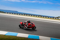 07th-to-9th-January-2019;Phillip-Island;event-digital-images;motorbikes;no-limits;peter-wileman-photography;trackday;trackday-digital-images