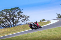 07th-to-9th-January-2019;Phillip-Island;event-digital-images;motorbikes;no-limits;peter-wileman-photography;trackday;trackday-digital-images