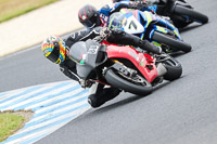 07th-to-9th-January-2019;Phillip-Island;event-digital-images;motorbikes;no-limits;peter-wileman-photography;trackday;trackday-digital-images