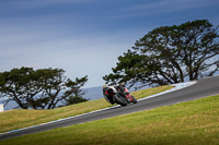 07th-to-9th-January-2019;Phillip-Island;event-digital-images;motorbikes;no-limits;peter-wileman-photography;trackday;trackday-digital-images