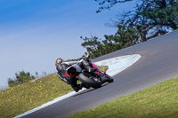 07th-to-9th-January-2019;Phillip-Island;event-digital-images;motorbikes;no-limits;peter-wileman-photography;trackday;trackday-digital-images