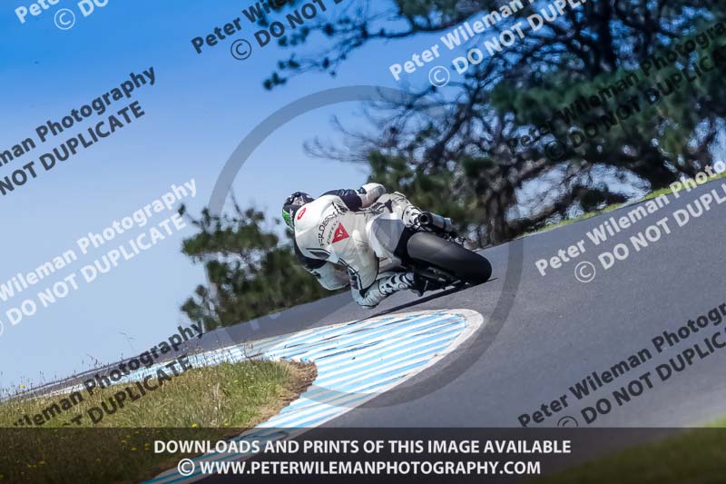 07th to 9th January 2019;Phillip Island;event digital images;motorbikes;no limits;peter wileman photography;trackday;trackday digital images