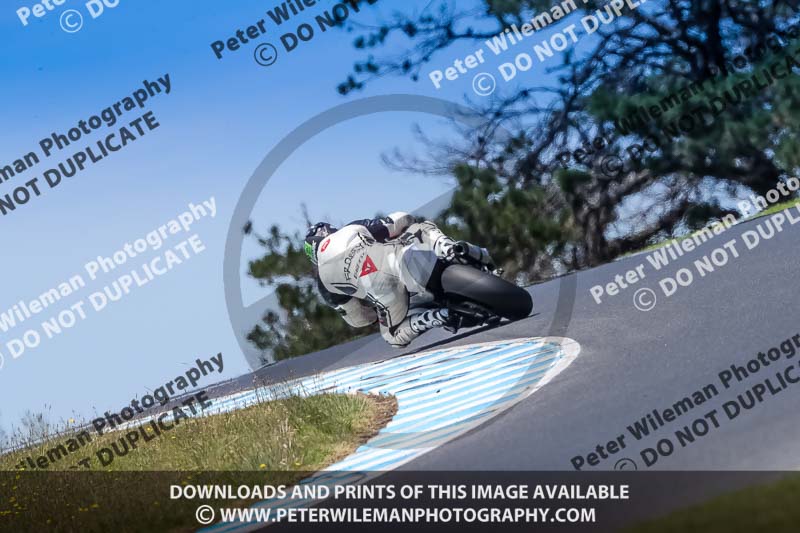 07th to 9th January 2019;Phillip Island;event digital images;motorbikes;no limits;peter wileman photography;trackday;trackday digital images