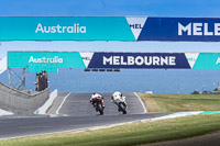 07th-to-9th-January-2019;Phillip-Island;event-digital-images;motorbikes;no-limits;peter-wileman-photography;trackday;trackday-digital-images