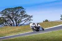 07th-to-9th-January-2019;Phillip-Island;event-digital-images;motorbikes;no-limits;peter-wileman-photography;trackday;trackday-digital-images