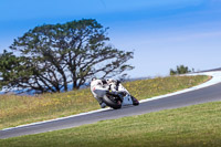 07th-to-9th-January-2019;Phillip-Island;event-digital-images;motorbikes;no-limits;peter-wileman-photography;trackday;trackday-digital-images