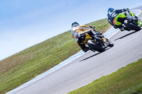 07th-to-9th-January-2019;Phillip-Island;event-digital-images;motorbikes;no-limits;peter-wileman-photography;trackday;trackday-digital-images