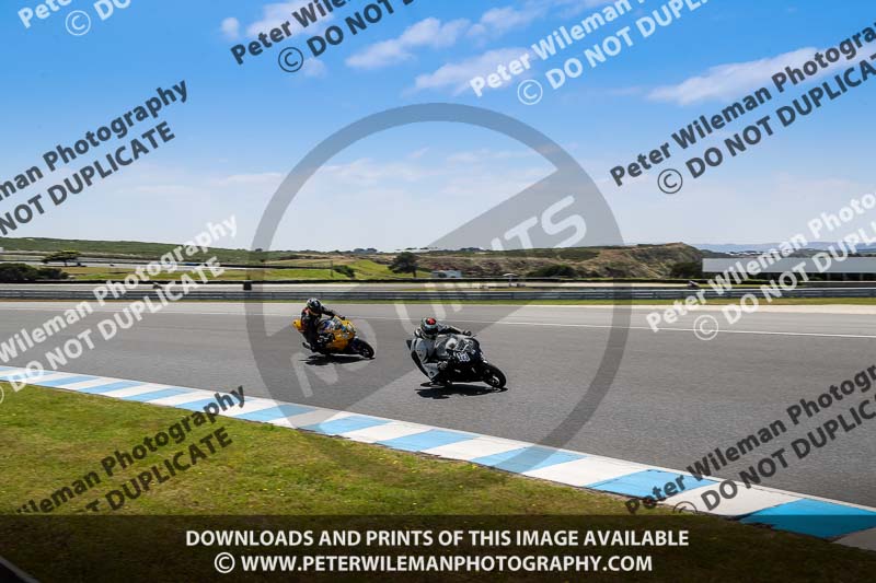 07th to 9th January 2019;Phillip Island;event digital images;motorbikes;no limits;peter wileman photography;trackday;trackday digital images