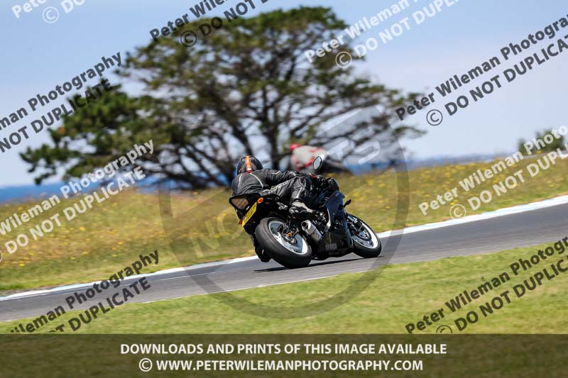 07th to 9th January 2019;Phillip Island;event digital images;motorbikes;no limits;peter wileman photography;trackday;trackday digital images