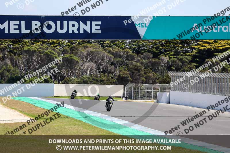 07th to 9th January 2019;Phillip Island;event digital images;motorbikes;no limits;peter wileman photography;trackday;trackday digital images