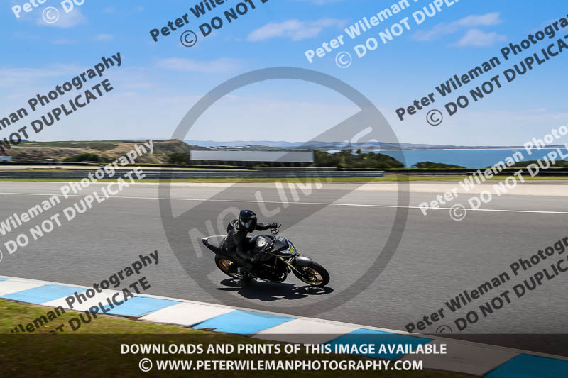 07th to 9th January 2019;Phillip Island;event digital images;motorbikes;no limits;peter wileman photography;trackday;trackday digital images