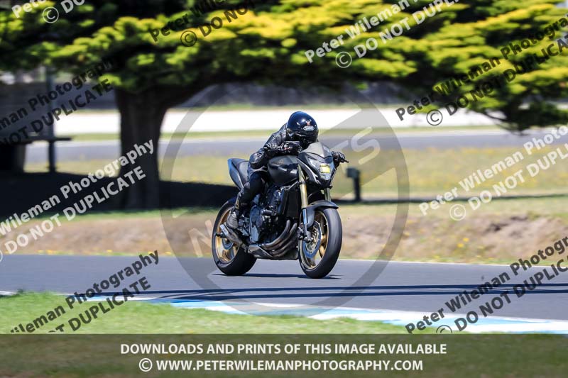 07th to 9th January 2019;Phillip Island;event digital images;motorbikes;no limits;peter wileman photography;trackday;trackday digital images