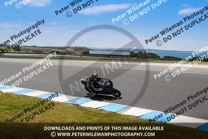 07th to 9th January 2019;Phillip Island;event digital images;motorbikes;no limits;peter wileman photography;trackday;trackday digital images