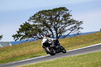 07th-to-9th-January-2019;Phillip-Island;event-digital-images;motorbikes;no-limits;peter-wileman-photography;trackday;trackday-digital-images