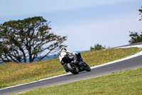 07th-to-9th-January-2019;Phillip-Island;event-digital-images;motorbikes;no-limits;peter-wileman-photography;trackday;trackday-digital-images