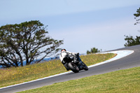 07th-to-9th-January-2019;Phillip-Island;event-digital-images;motorbikes;no-limits;peter-wileman-photography;trackday;trackday-digital-images