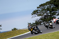 07th-to-9th-January-2019;Phillip-Island;event-digital-images;motorbikes;no-limits;peter-wileman-photography;trackday;trackday-digital-images