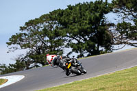 07th-to-9th-January-2019;Phillip-Island;event-digital-images;motorbikes;no-limits;peter-wileman-photography;trackday;trackday-digital-images