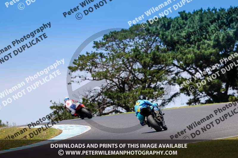 07th to 9th January 2019;Phillip Island;event digital images;motorbikes;no limits;peter wileman photography;trackday;trackday digital images