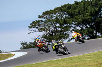 07th-to-9th-January-2019;Phillip-Island;event-digital-images;motorbikes;no-limits;peter-wileman-photography;trackday;trackday-digital-images