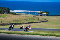 07th-to-9th-January-2019;Phillip-Island;event-digital-images;motorbikes;no-limits;peter-wileman-photography;trackday;trackday-digital-images