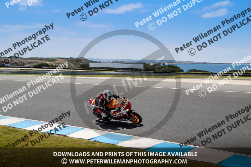 07th to 9th January 2019;Phillip Island;event digital images;motorbikes;no limits;peter wileman photography;trackday;trackday digital images