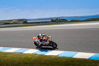 07th-to-9th-January-2019;Phillip-Island;event-digital-images;motorbikes;no-limits;peter-wileman-photography;trackday;trackday-digital-images