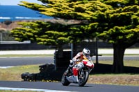 07th-to-9th-January-2019;Phillip-Island;event-digital-images;motorbikes;no-limits;peter-wileman-photography;trackday;trackday-digital-images