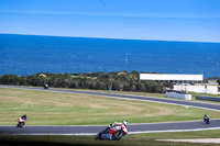 07th-to-9th-January-2019;Phillip-Island;event-digital-images;motorbikes;no-limits;peter-wileman-photography;trackday;trackday-digital-images