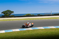 07th-to-9th-January-2019;Phillip-Island;event-digital-images;motorbikes;no-limits;peter-wileman-photography;trackday;trackday-digital-images