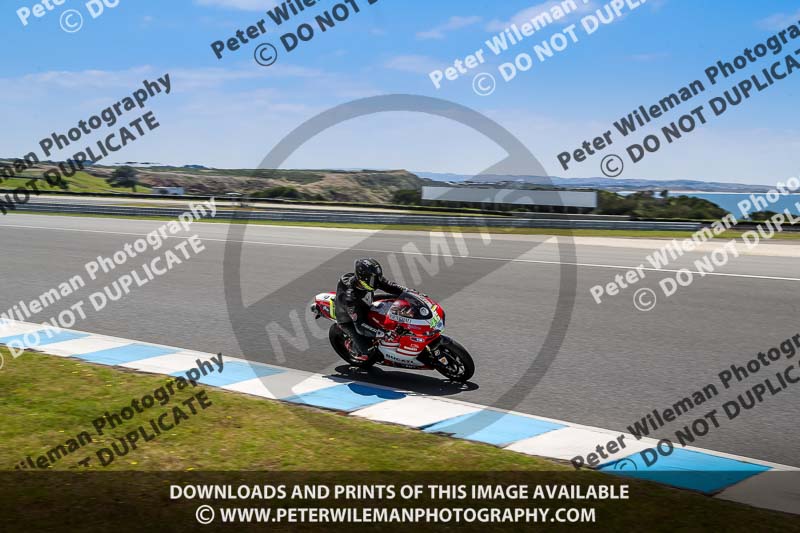 07th to 9th January 2019;Phillip Island;event digital images;motorbikes;no limits;peter wileman photography;trackday;trackday digital images