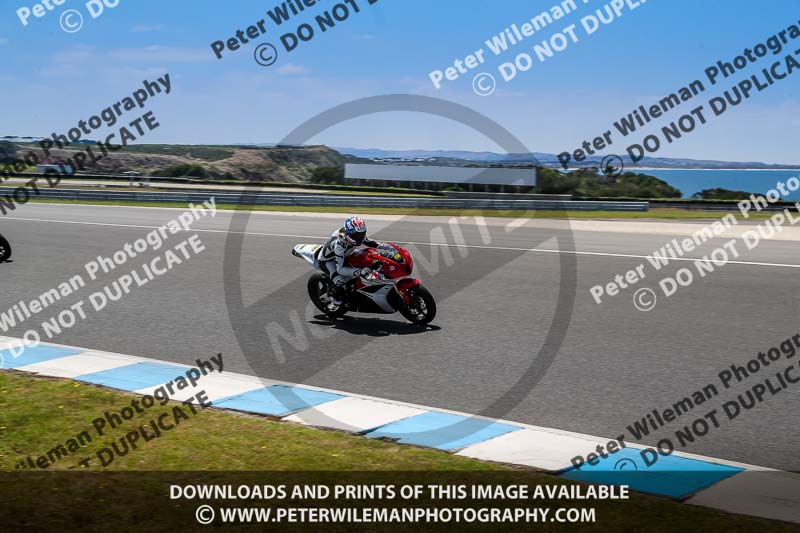 07th to 9th January 2019;Phillip Island;event digital images;motorbikes;no limits;peter wileman photography;trackday;trackday digital images