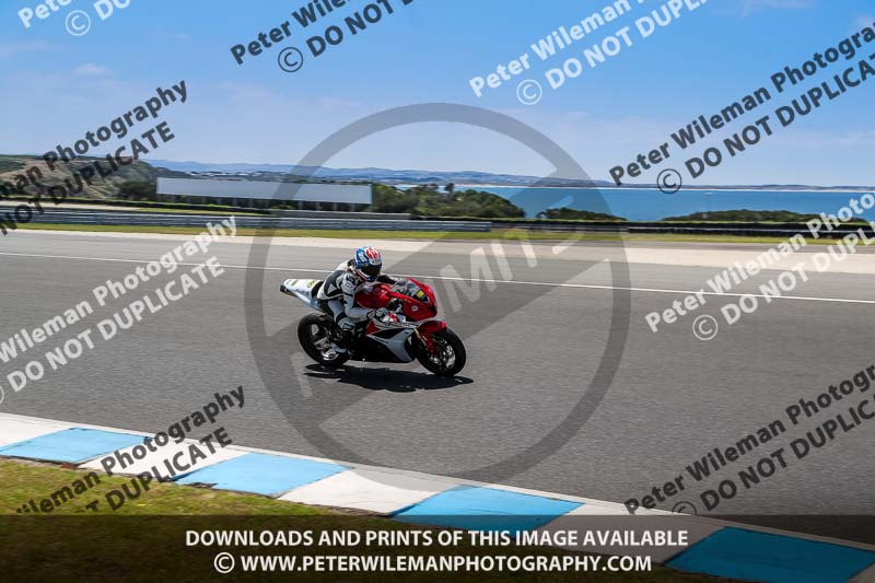 07th to 9th January 2019;Phillip Island;event digital images;motorbikes;no limits;peter wileman photography;trackday;trackday digital images