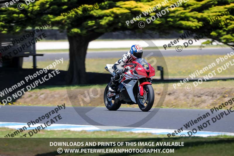 07th to 9th January 2019;Phillip Island;event digital images;motorbikes;no limits;peter wileman photography;trackday;trackday digital images