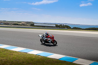 07th-to-9th-January-2019;Phillip-Island;event-digital-images;motorbikes;no-limits;peter-wileman-photography;trackday;trackday-digital-images