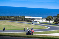 07th-to-9th-January-2019;Phillip-Island;event-digital-images;motorbikes;no-limits;peter-wileman-photography;trackday;trackday-digital-images