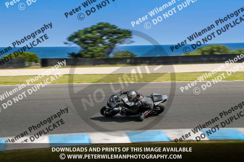 07th to 9th January 2019;Phillip Island;event digital images;motorbikes;no limits;peter wileman photography;trackday;trackday digital images