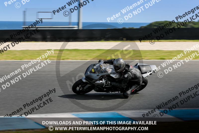 07th to 9th January 2019;Phillip Island;event digital images;motorbikes;no limits;peter wileman photography;trackday;trackday digital images