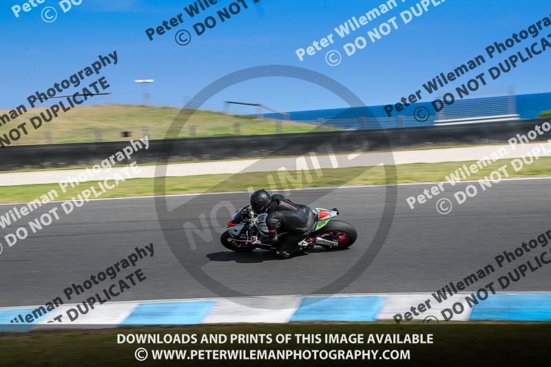 07th to 9th January 2019;Phillip Island;event digital images;motorbikes;no limits;peter wileman photography;trackday;trackday digital images