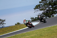 07th-to-9th-January-2019;Phillip-Island;event-digital-images;motorbikes;no-limits;peter-wileman-photography;trackday;trackday-digital-images