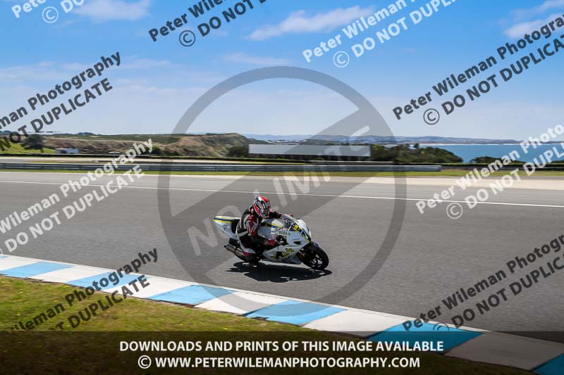 07th to 9th January 2019;Phillip Island;event digital images;motorbikes;no limits;peter wileman photography;trackday;trackday digital images