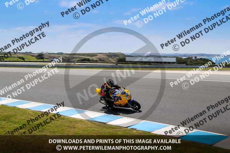 07th to 9th January 2019;Phillip Island;event digital images;motorbikes;no limits;peter wileman photography;trackday;trackday digital images