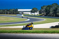 07th-to-9th-January-2019;Phillip-Island;event-digital-images;motorbikes;no-limits;peter-wileman-photography;trackday;trackday-digital-images