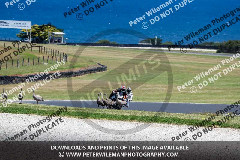 07th to 9th January 2019;Phillip Island;event digital images;motorbikes;no limits;peter wileman photography;trackday;trackday digital images