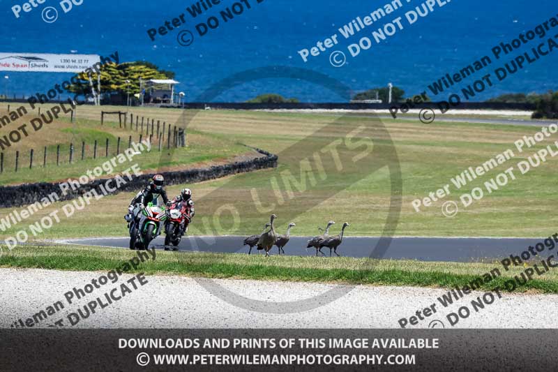 07th to 9th January 2019;Phillip Island;event digital images;motorbikes;no limits;peter wileman photography;trackday;trackday digital images