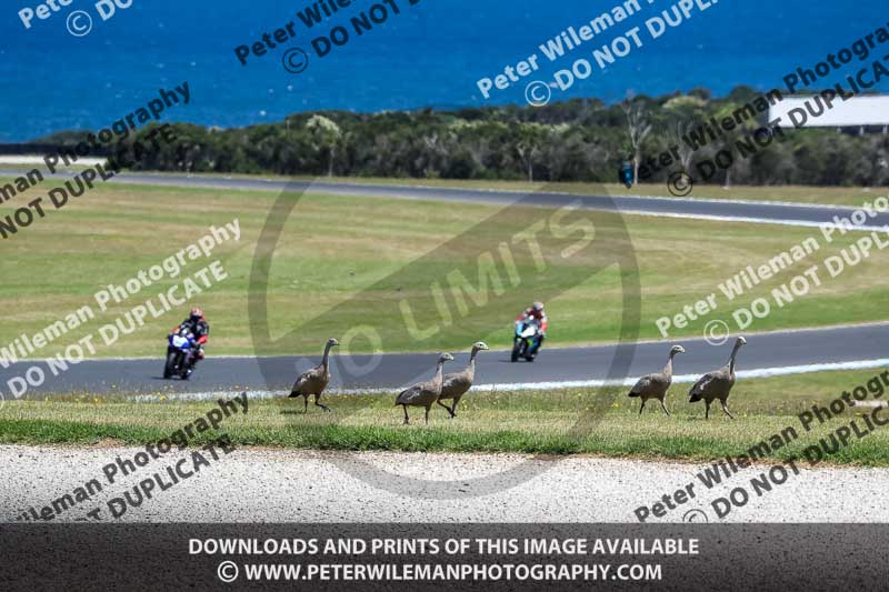 07th to 9th January 2019;Phillip Island;event digital images;motorbikes;no limits;peter wileman photography;trackday;trackday digital images