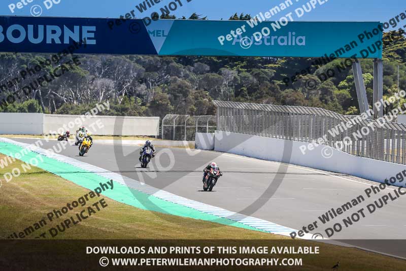 07th to 9th January 2019;Phillip Island;event digital images;motorbikes;no limits;peter wileman photography;trackday;trackday digital images