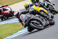 07th-to-9th-January-2019;Phillip-Island;event-digital-images;motorbikes;no-limits;peter-wileman-photography;trackday;trackday-digital-images